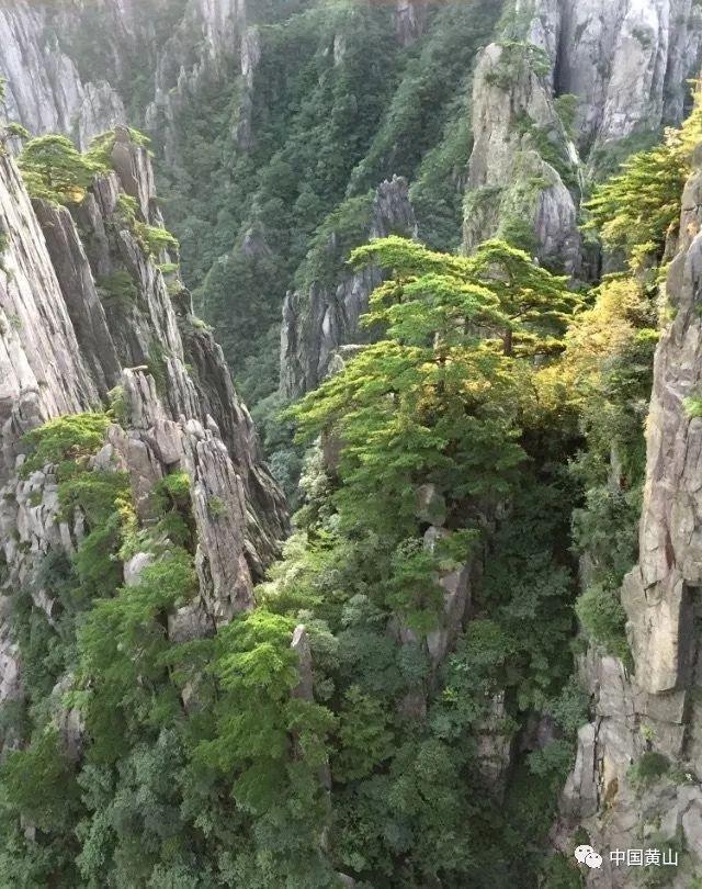 大山深处抗寒 常德联通迎风斗雪保通信网